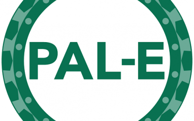 PAL-E – Professional Agile leadership Essentials Training